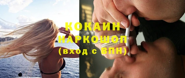 ГАЛЛЮЦИНОГЕННЫЕ ГРИБЫ Заволжье