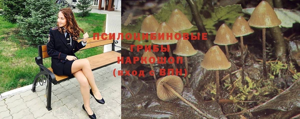 амф Заводоуковск